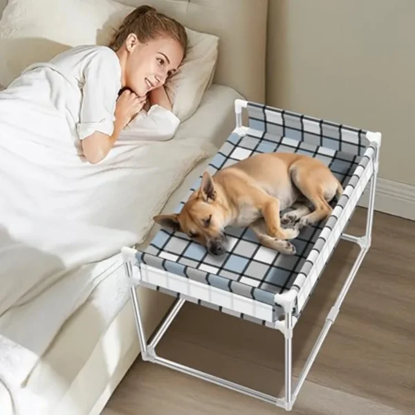 Elevated wooden frame bed for cats or small dogs